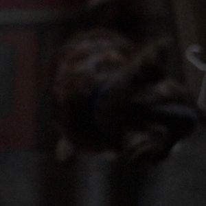 Meet your Posher, Terri